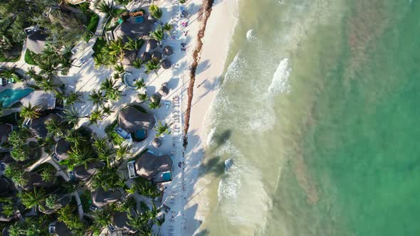 tropical coastline white sand beach and sargassum in Play Del Carmen Mexico, top down aerial
