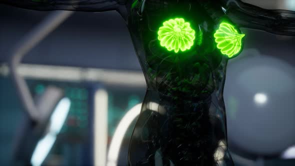 Medical Scan of Woman Breast alt