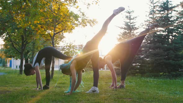 Two Young Women Doing Yoga Asanas with Trainer in the Park in the Sunshine