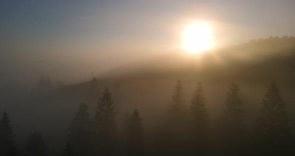 The Sun Breaks Through The Thick Fog In The Forest High In The Mountains