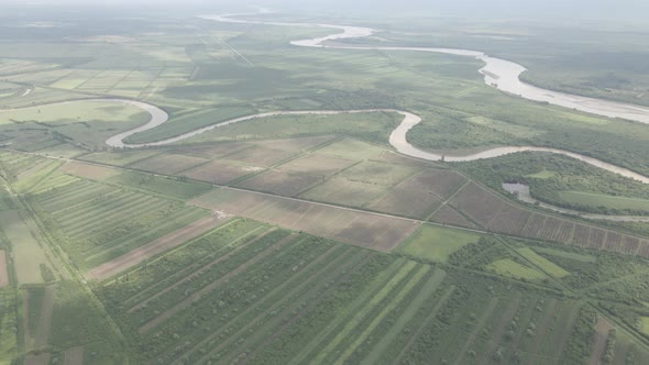 Aerial drone view flight over different agricultural fields sown in Samegrelo, Georgia