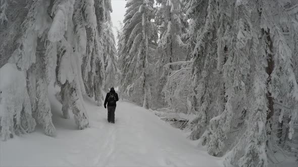 Young Man Hiking In Snow Winter Mountain Forest