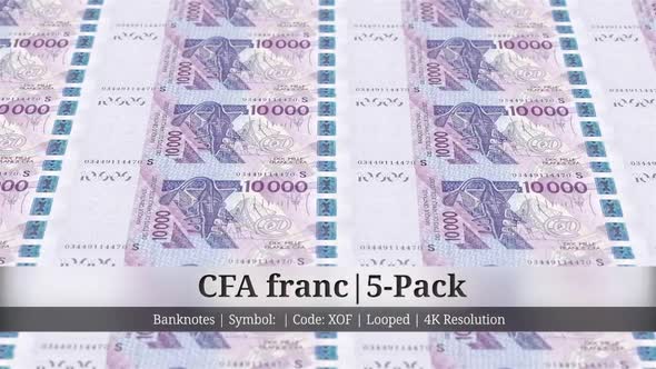 CFA franc | West African States Currency - 5 Pack | 4K Resolution | Looped