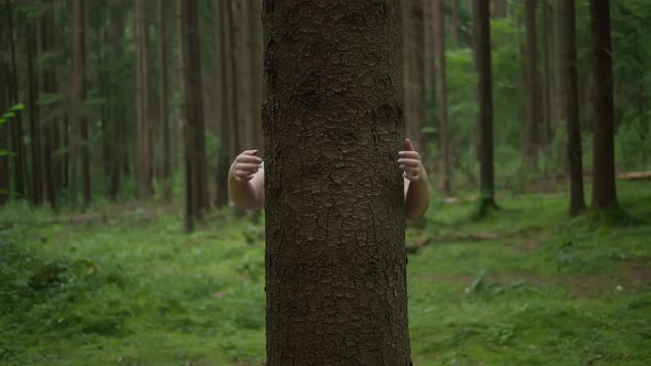 Arms Hugging a Tree In a Forest, Concept of Love and Care for Nature