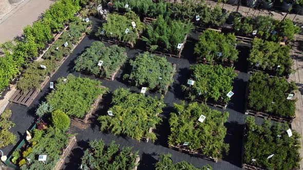 aerial view of garden shop. working people. potted plants