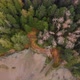 4K Aerial Top Down of Beach and Forest - VideoHive Item for Sale
