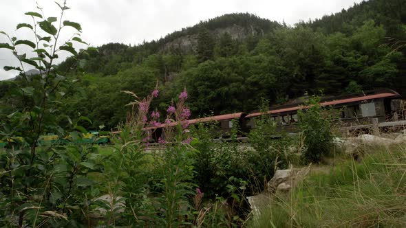 Panning view of a train moving through the Alaska wilderness