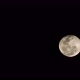 Moon Timelapse - VideoHive Item for Sale