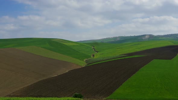 Agriculture Fields on Hills in Morocco