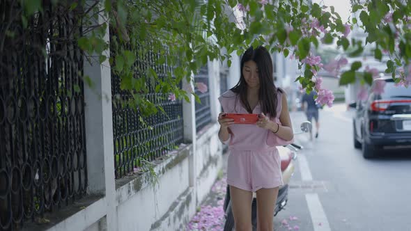 A Girl Was Taking Photos of a Tree on the Side of the Road with Her Mobile Phone While Walking Along