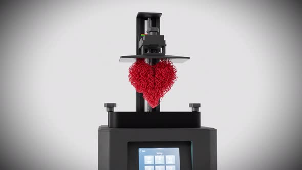 3D Printer Heart Printing