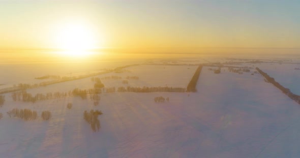 Aerial Drone View of Cold Winter Landscape with Arctic Field Trees Covered with Frost Snow and