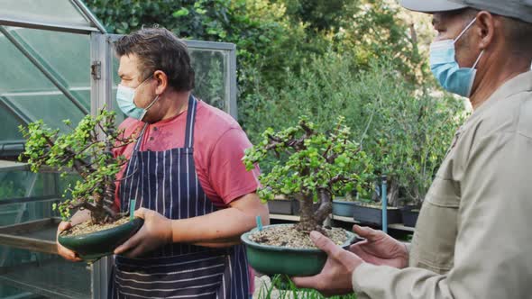 Diverse male gardeners wearing face masks, taking care of bonsai tree at garden center