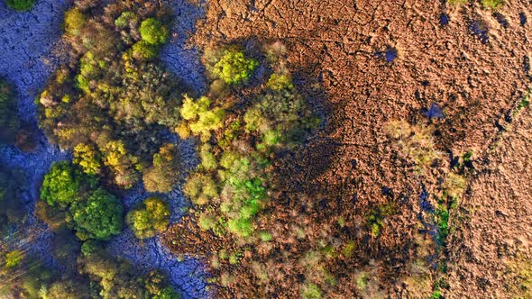 Areal view of autumn frozen swamp at sunrise, Poland