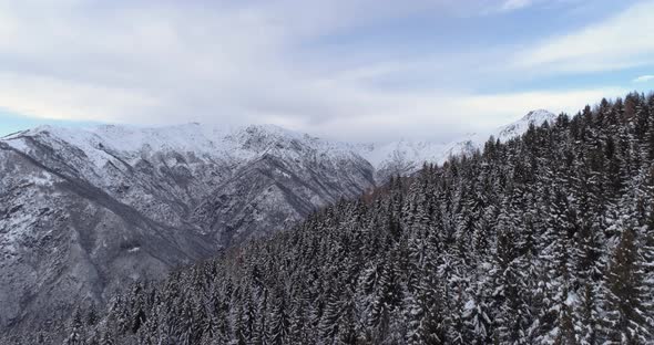 Forward Aerial Over Alpine Mountain Valley Pine Forest Woods Covered in Snow in Overcast Winter