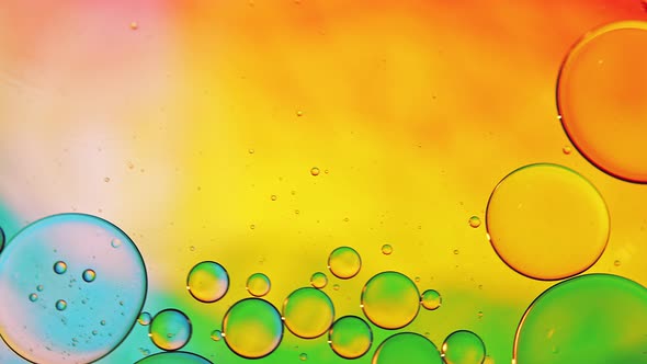 Abstract Colorful Food Oil Drops Bubbles 39