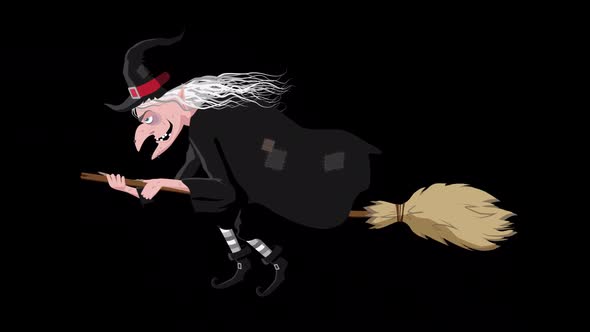 Witch Flying On A Broom Cartoon