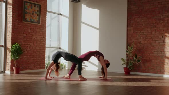 Young Womans Doing Beautiful Pair Asana Eka Pada Urdhva Dhanurasana in a Spacious Yoga Studio