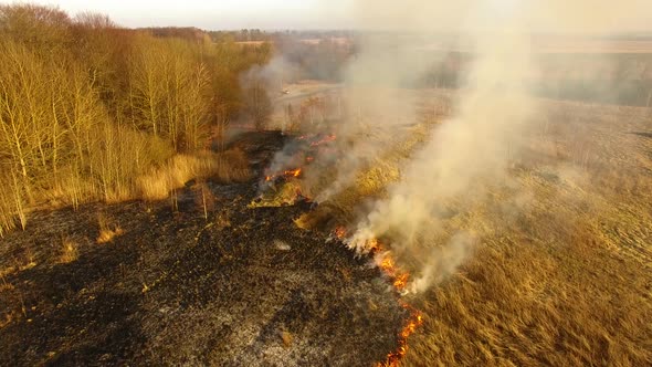 The burning field in spring, view from a drone