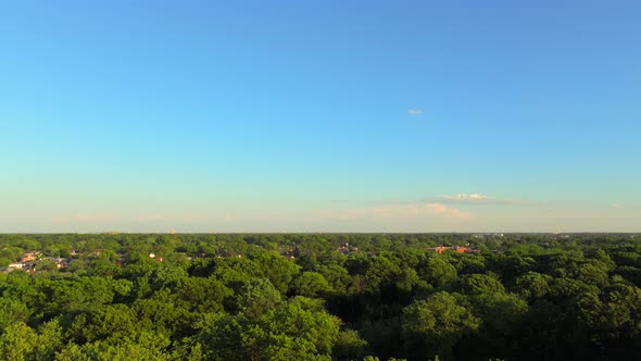 An aerial view above green tree tops in a park on a sunny day. The drone camera dolly in and tilt do