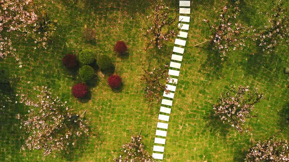 Aerial View of the New Football Field Stadium with Students