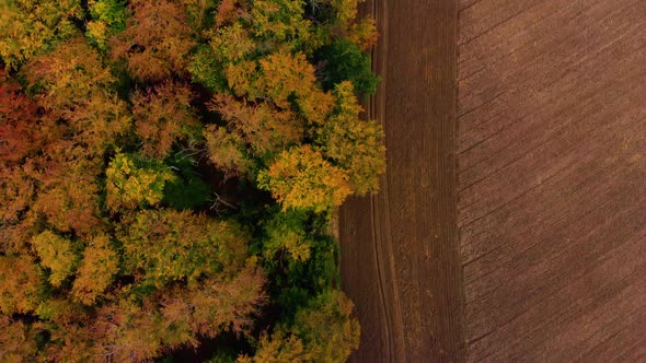 Autumn forrest park and fields from above 