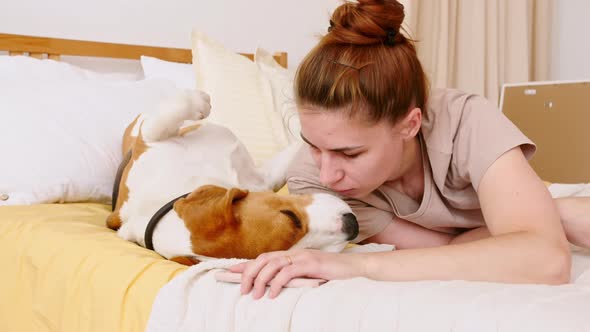 Girl Affectionately Playing with Pet Cute Dog Beagle on the Bed