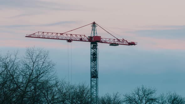 Tower Crane Working on Construction Site Trees With no Leaves Trembling in the Wind, Evening Sky