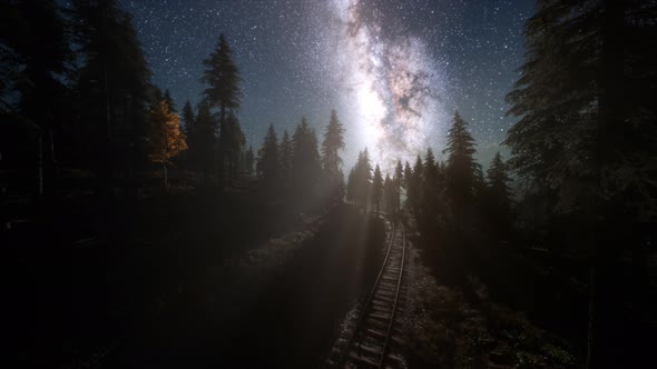 The Milky Way Above the Railway and Forest