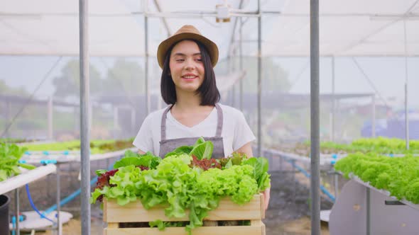 Asian beautiful farmer girl carrying box of vegetables green salad in hydroponic greenhouse farm.