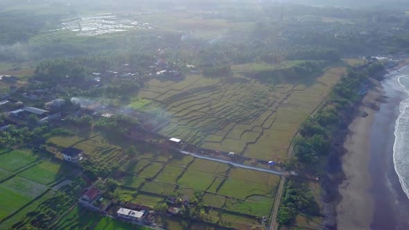 Aerial drone view of the green farming fields, beach and sea in Indonesia.