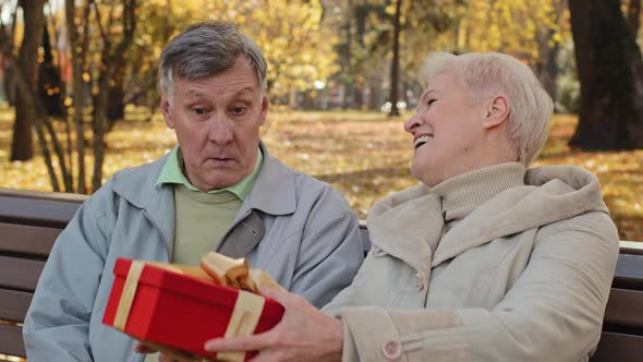 Happy Smiling Elderly Couple Sitting on Bench in Autumn Park Mature Old Grandma Give Gift Husband