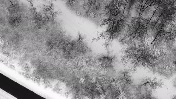 Look up drone shot from a empty street framed by a winter landscape up to snow covered houses of a l