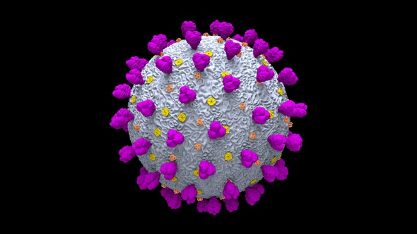 Coronavirus Covid 19 Cell V7 alt