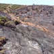Aerial drone view of burned forest next to the road. Dark land and black trees caused by fire. - VideoHive Item for Sale