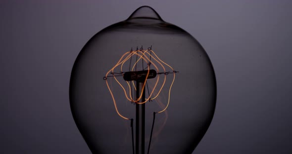Light Bulb 