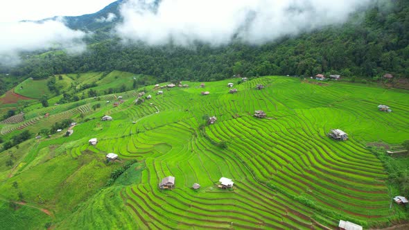 Drone is flying through clouds above rice terraces