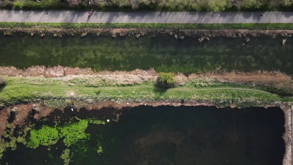 Degraded quality of Dublin Grand canal with algae floating