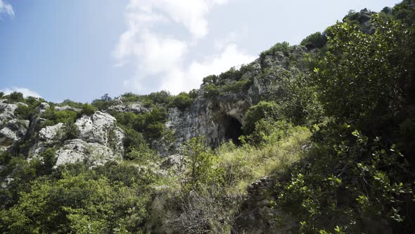 Mountains and Trees in Canyon Valley 4K