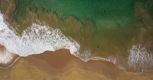 Tropical Landscape of Sand Beach and Sea Waves Rolling in