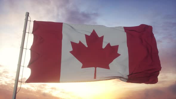 Flag of Canada Waving in the Wind Sky and Sun Background