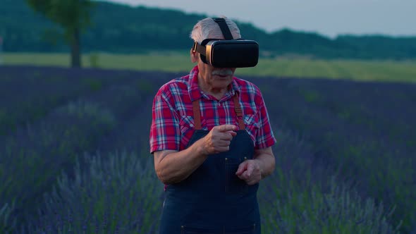 Senior Grandfather Farmer in Virtual Reality Helmet Managing Quality in Field of Lavender Flowers