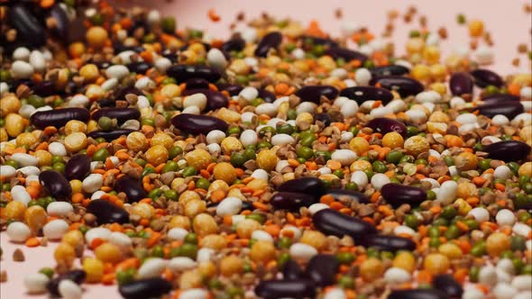 Closeup of Pouring Mixture of White and Red Beans Chickpeas Mung and Lentils