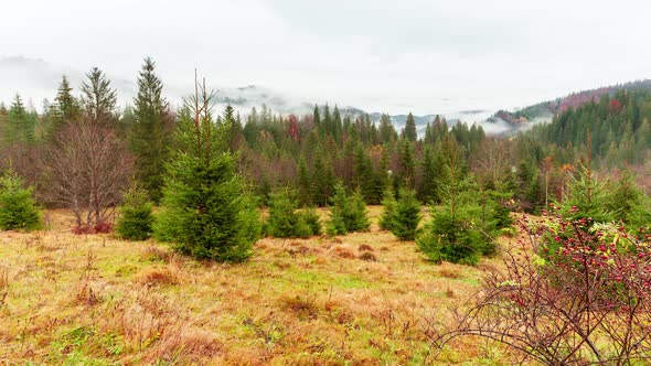 Ukraine Carpathians