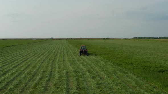 Aerial View Tractor Removes Grass From the Field