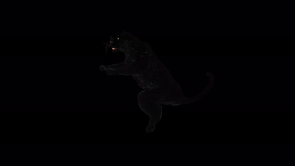 Panther 4K