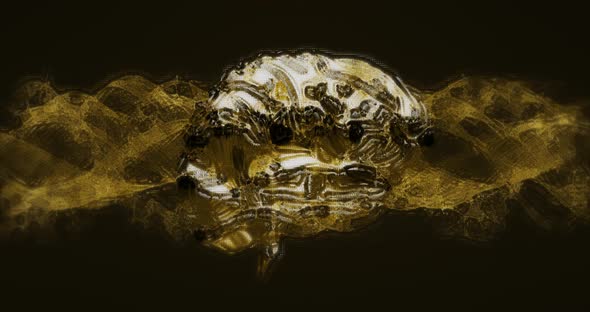 Human Biology DNA Skull Brain animation 4k alt