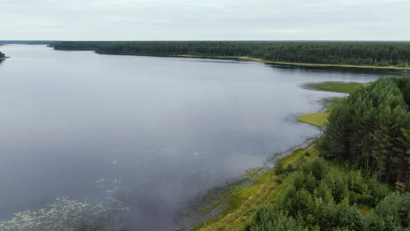 Flight Over the Taiga Forest Lake