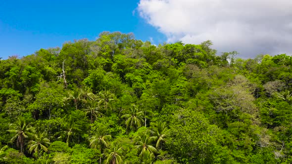 Mountain Covered with Rainforest and Clouds