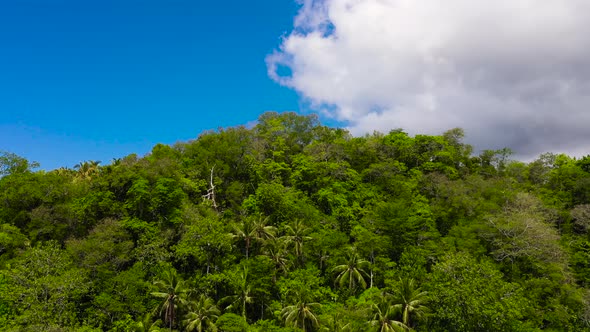 Mountain Covered with Rainforest and Clouds